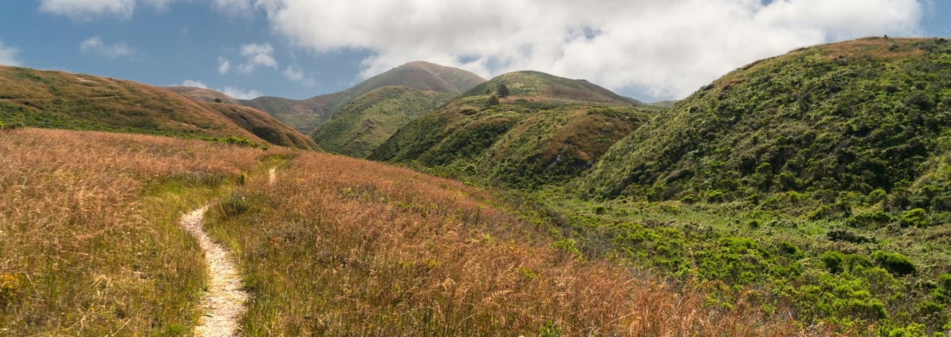 A narrow trail crossing rolling green hills