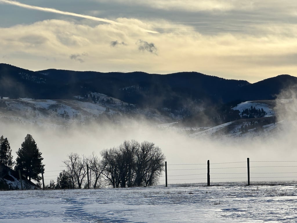Foggy winter morning near Philipsburg - Photo credit: Jenna Buxbaum