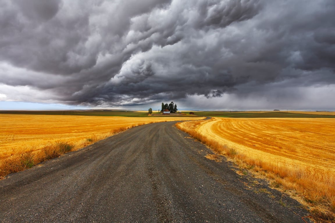 Storm brewing in the wheat fields