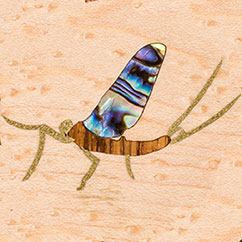 may-fly