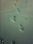DG's Footprints