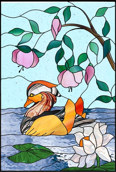 Madarin Duck