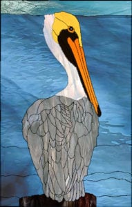 Pelican