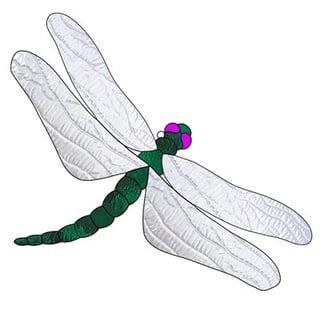 Insects