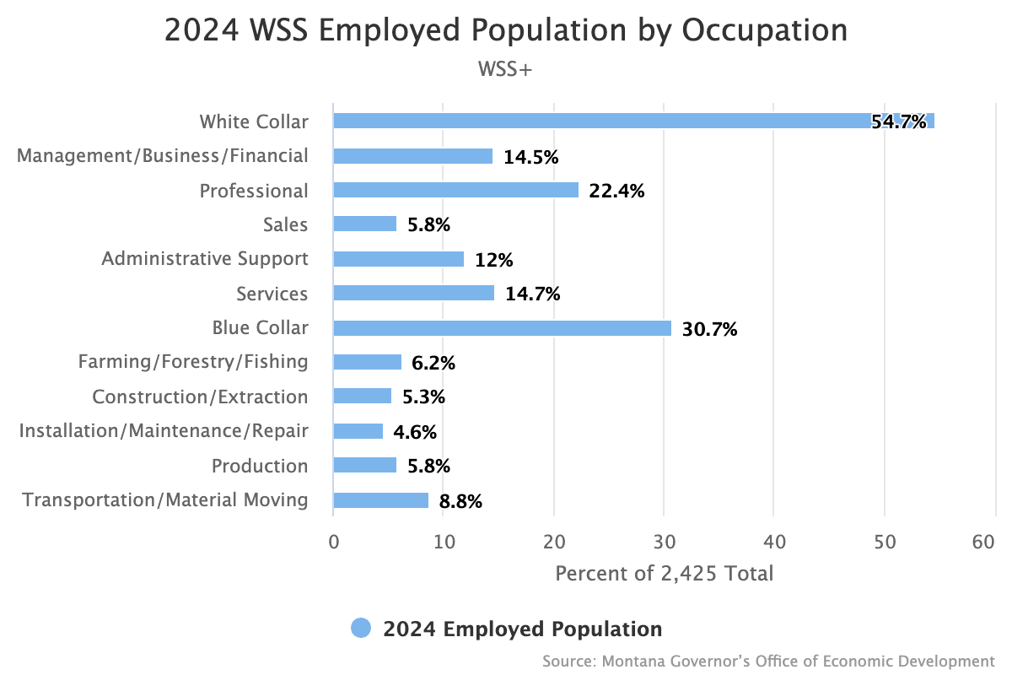 2024 WSS Employed Population by Occupation