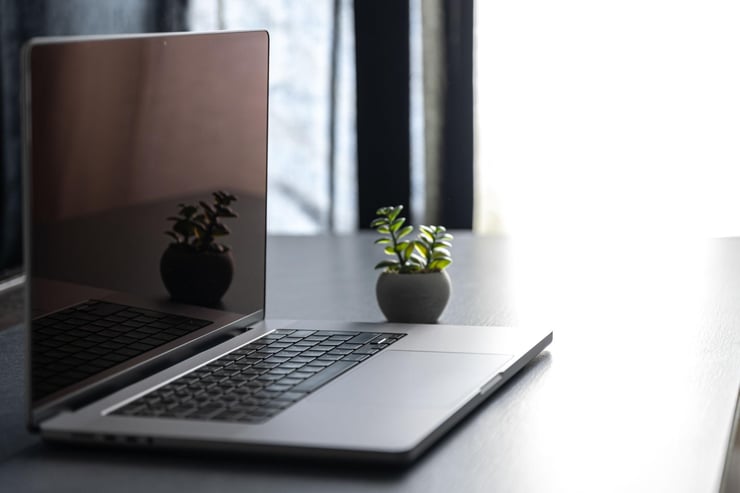 BRANDING + MARKETING + WEBSITES + DEVELOPMENT