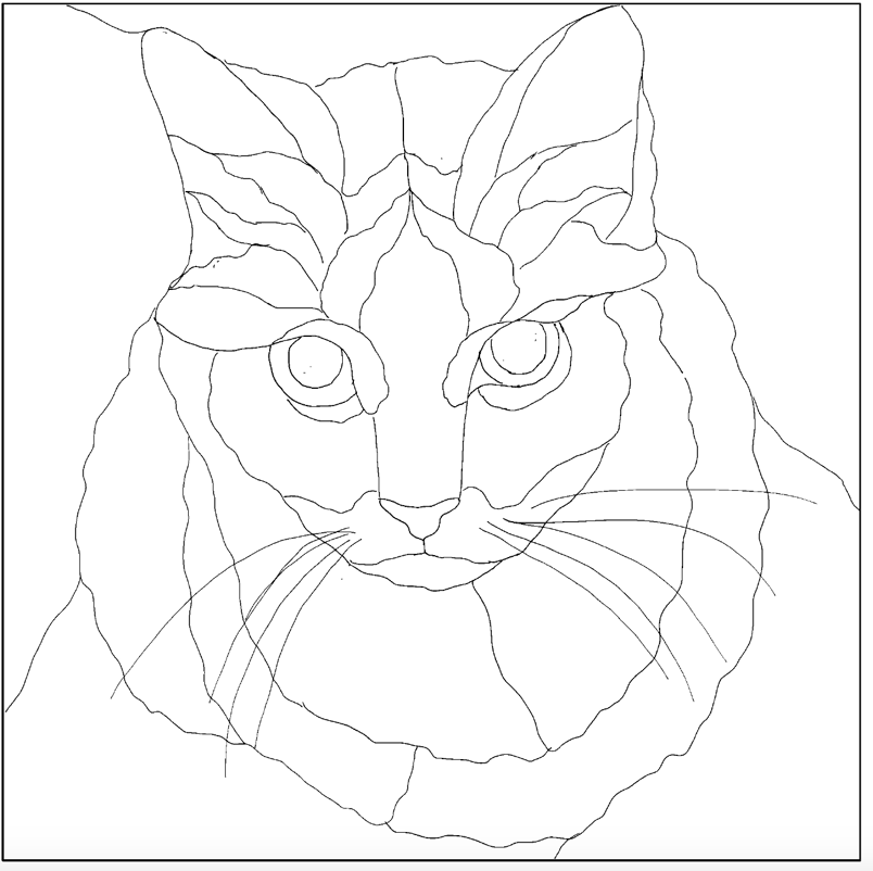 Cat 1