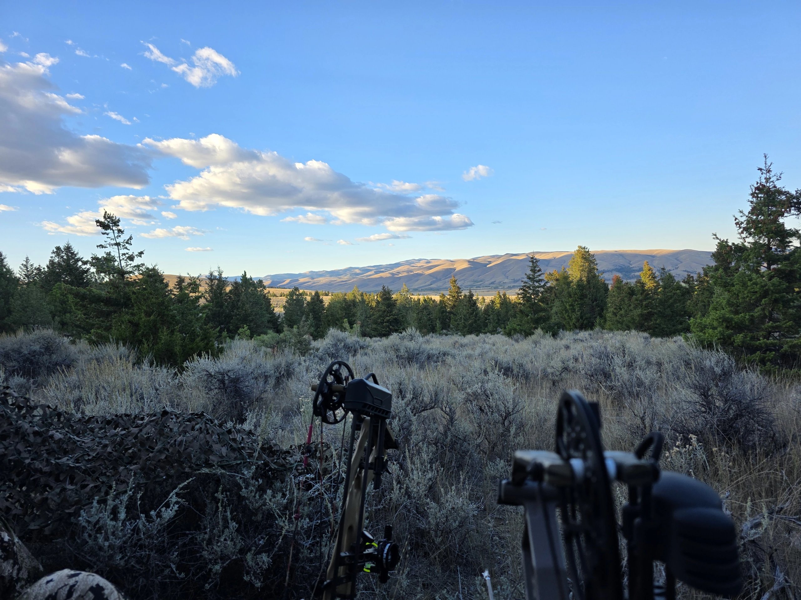 Bows overlooking open country at hunt camp