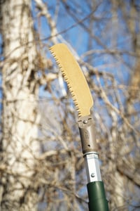 Saw Blade Set