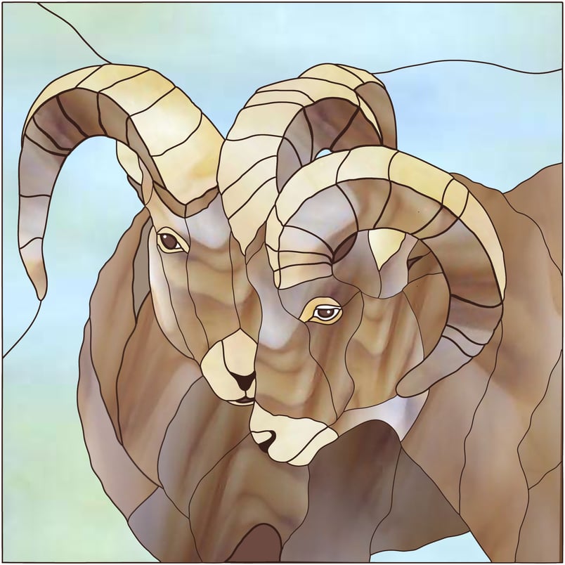Two Big Horn Sheep