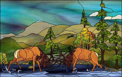 Fighting Elk