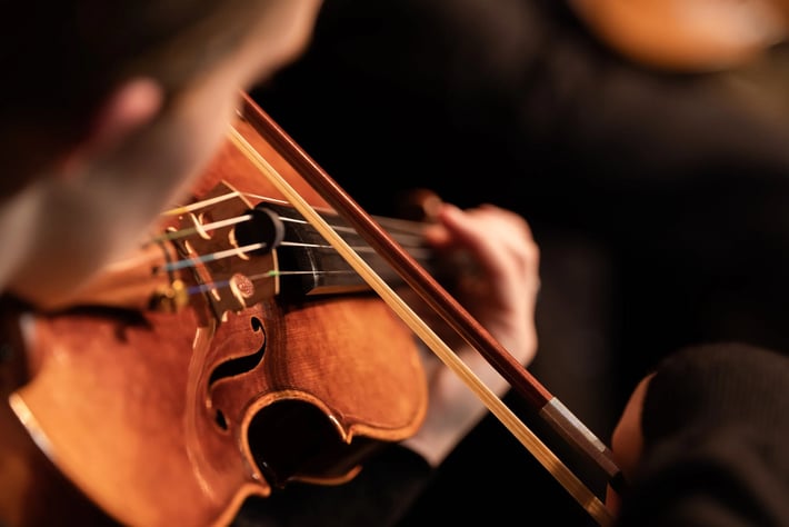 Bozeman Symphony Welcomes New Board Members