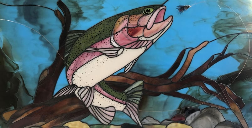 Rainbow Trout