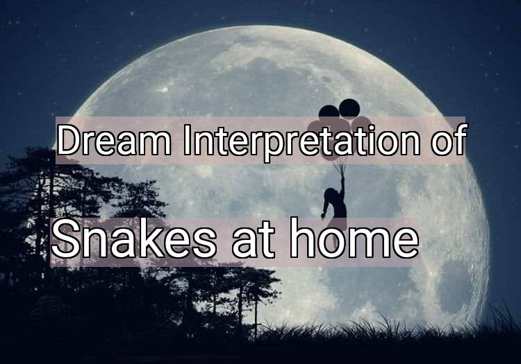 Dream Meaning of Snakes at home