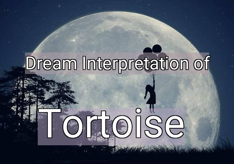 Dream Meaning of Tortoise