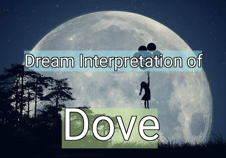 Dream Meaning of Dove
