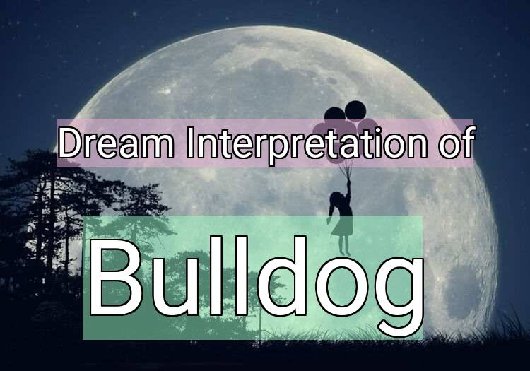 Dream Meaning of Bulldog