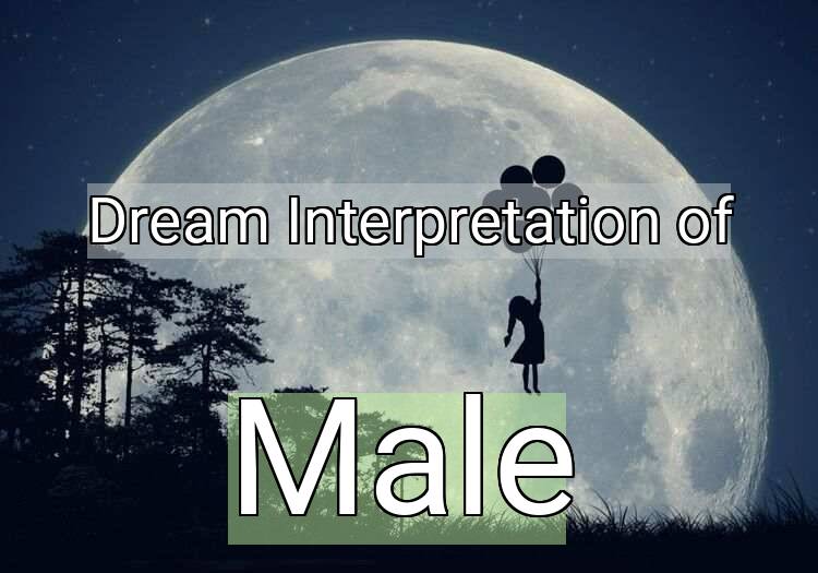 Dream Meaning of Male