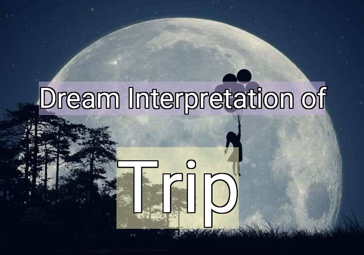 Dream Meaning of Trip