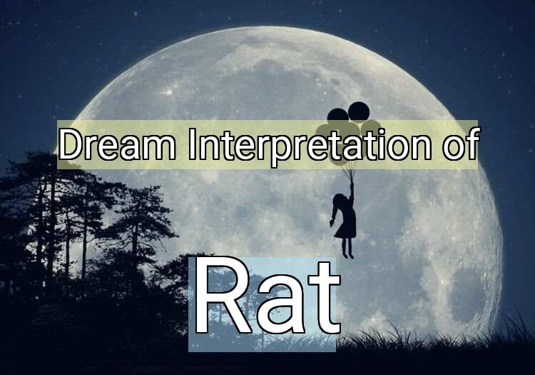 Dream Meaning of Rat