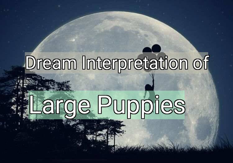 Dream Meaning of Large Puppies