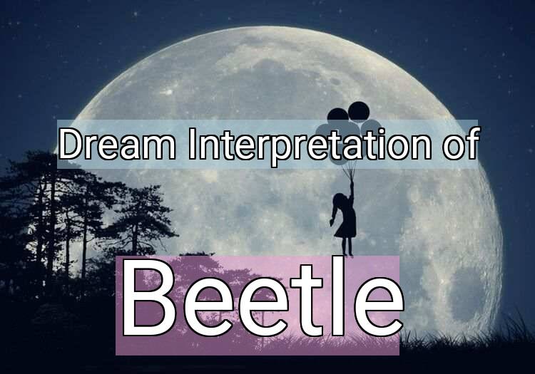 Dream Meaning of Beetle