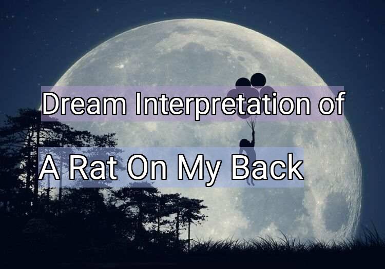 Dream Meaning of A Rat On My Back