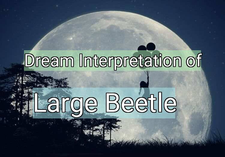 Dream Meaning of Large Beetle