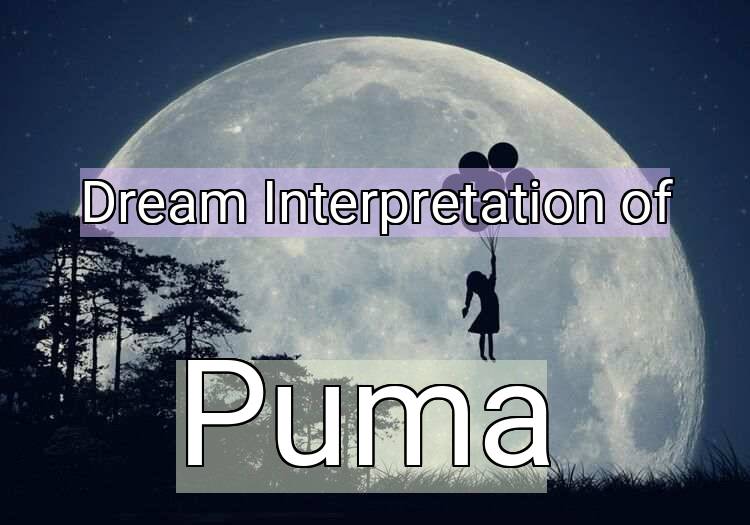 Dream Meaning of Puma