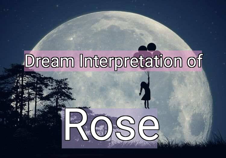 Dream Meaning of Rose