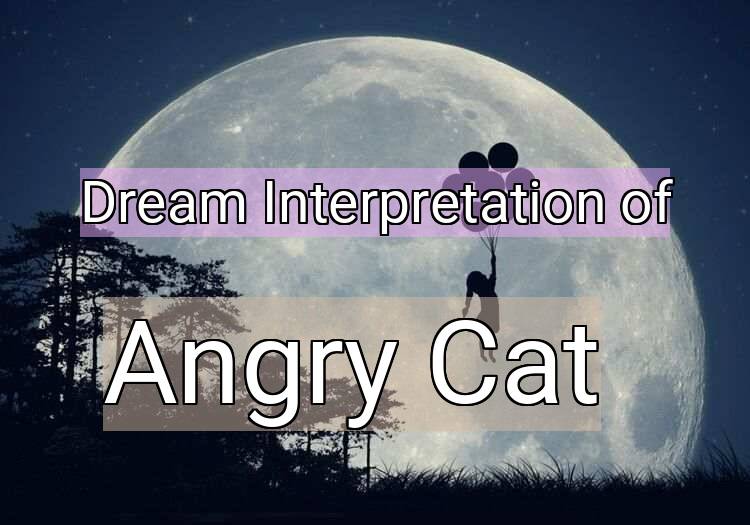 Dream Meaning of Angry Cat