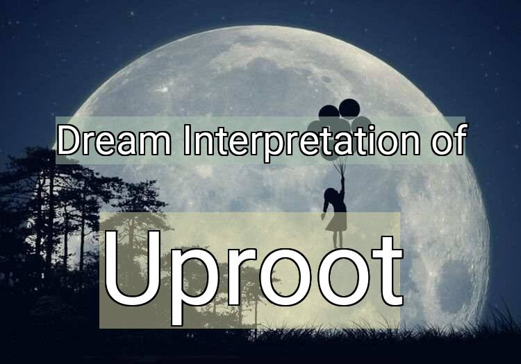 Dream Meaning of Uproot