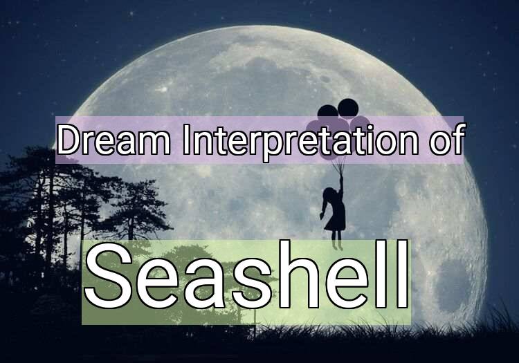 Dream Meaning of Seashell
