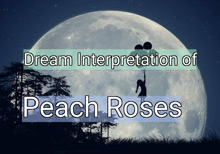 Dream Meaning of Peach Roses