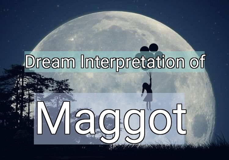 Dream Meaning of Maggot