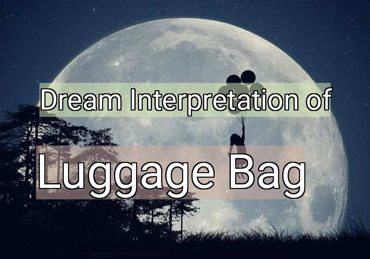 Dream Meaning of Luggage Bag