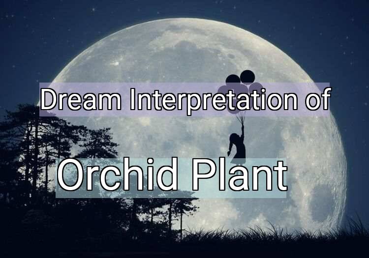 Dream Meaning of Orchid Plant