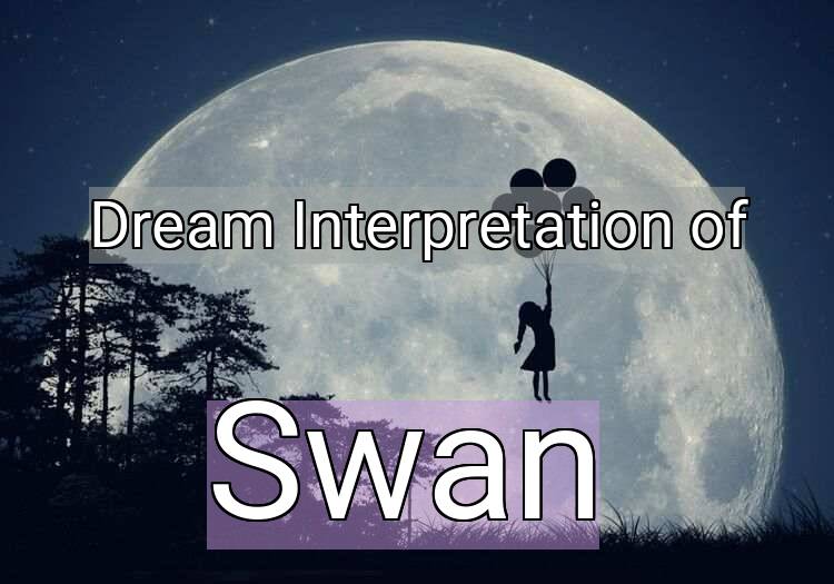 Dream Meaning of Swan