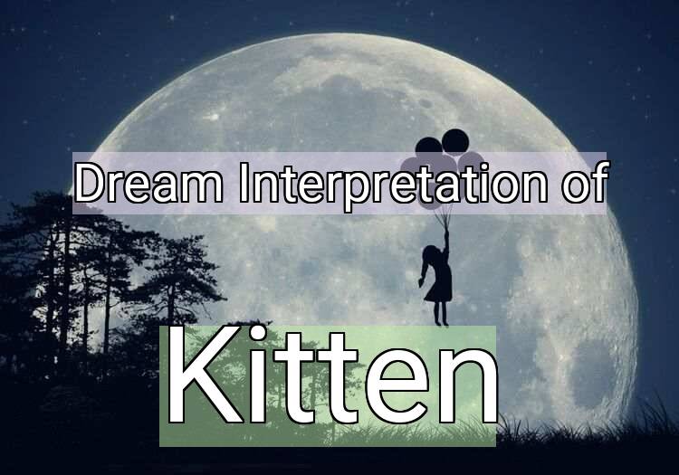 Dream Meaning of Kitten