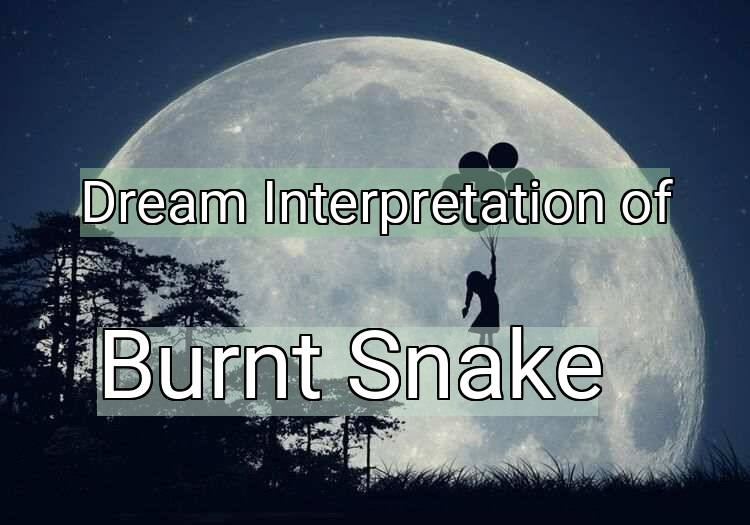 Dream Meaning of Burnt Snake