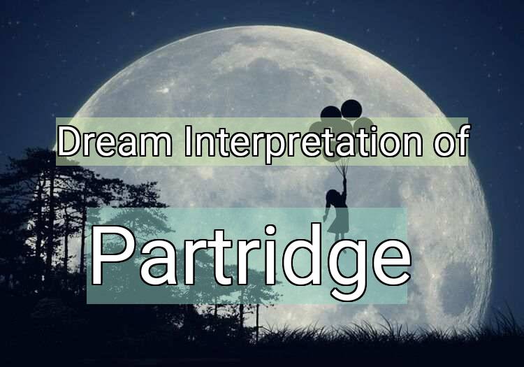 Dream Meaning of Partridge