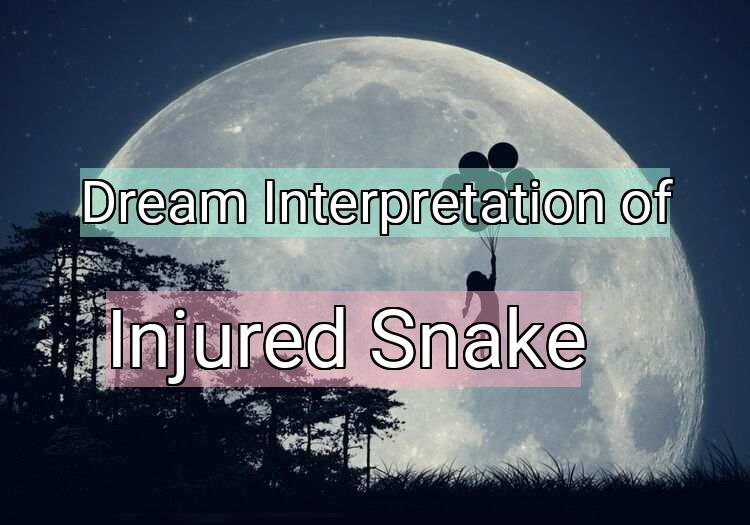 Dream Meaning of Injured Snake