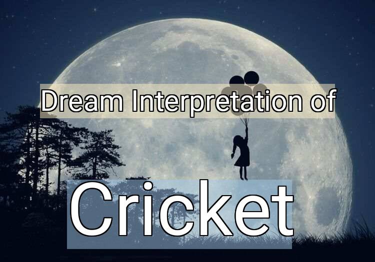 Dream Meaning of Cricket