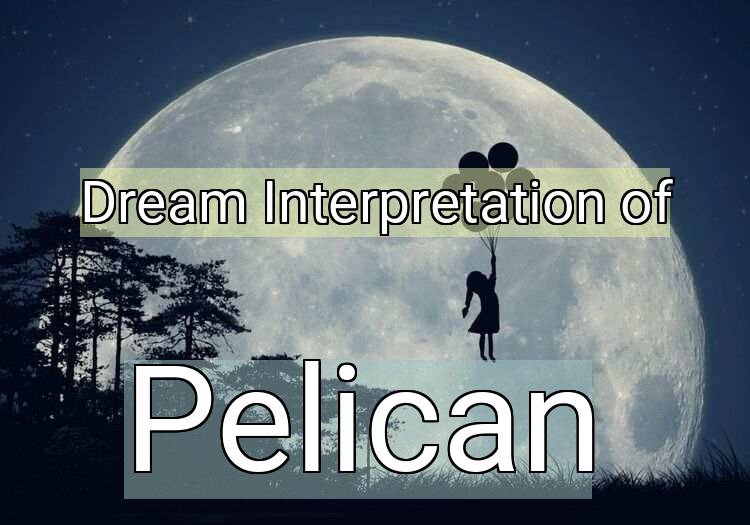 Dream Meaning of Pelican