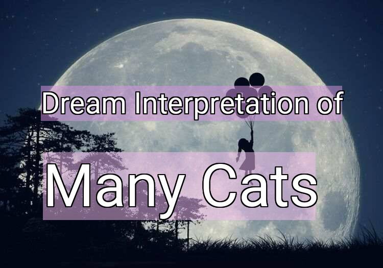 Dream Meaning of Many Cats