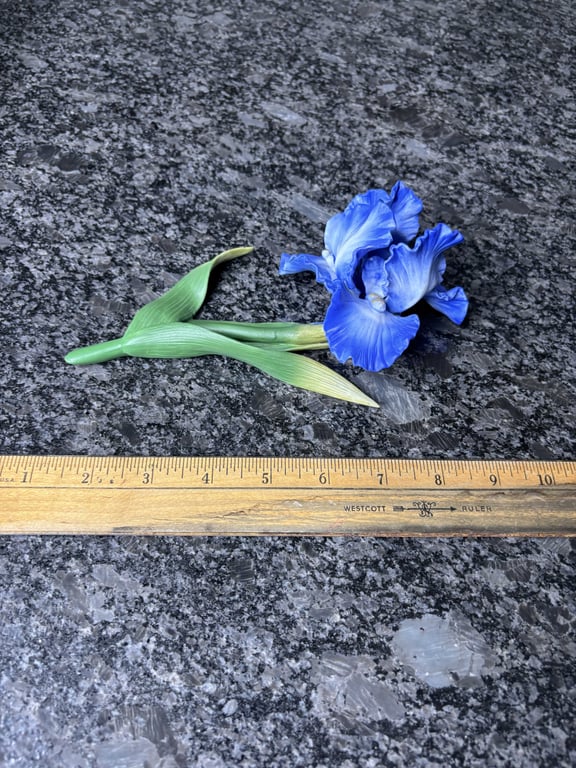 Avon Blue Iris - Image 2