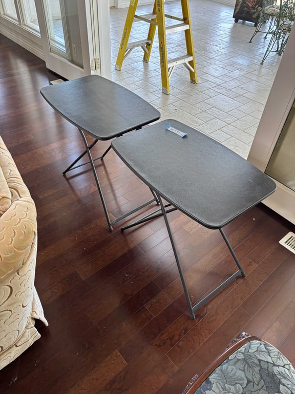 Pair of TV Dinner Trays