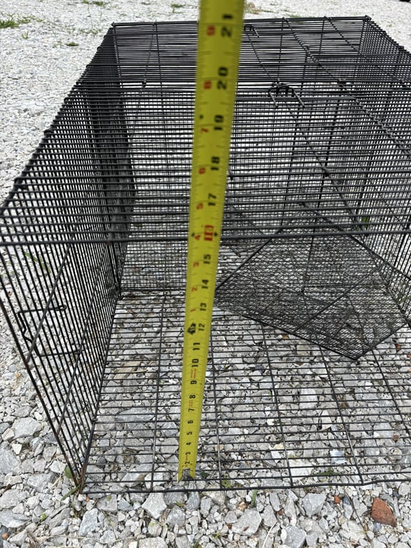 Live trap - Image 2