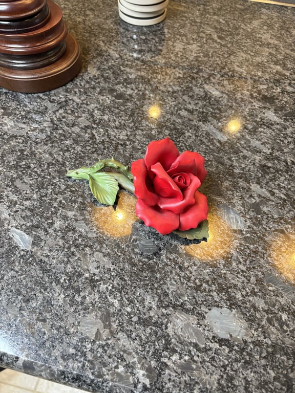 American Beauty Rose