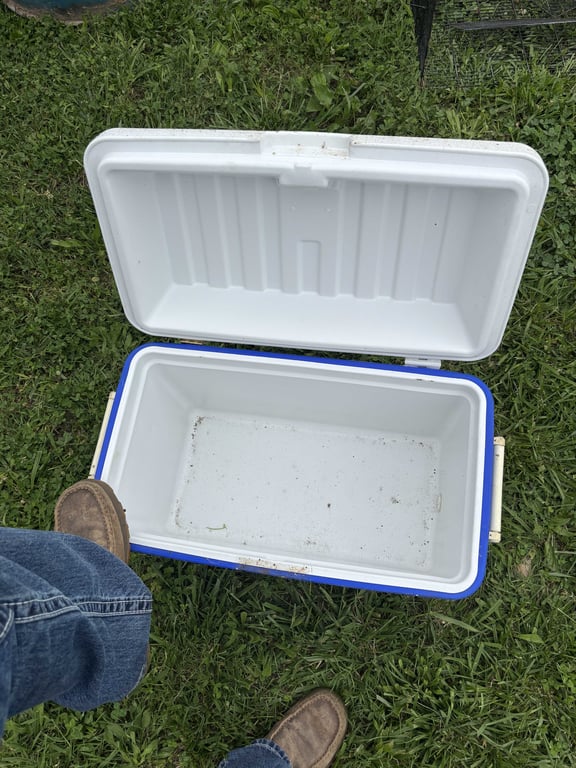 Coleman cooler  - Image 2
